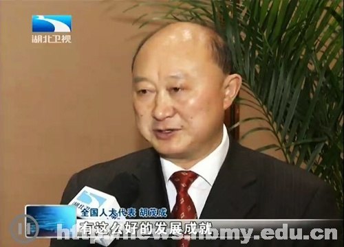 學(xué)校黨委書記胡茂成在京參加人民代表大會