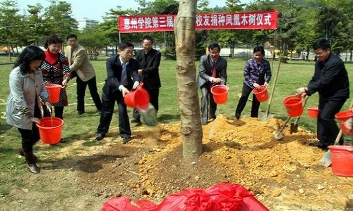 惠陽(yáng)師專第三屆學(xué)生會(huì)主席團(tuán)成員回校開展植樹活動(dòng)