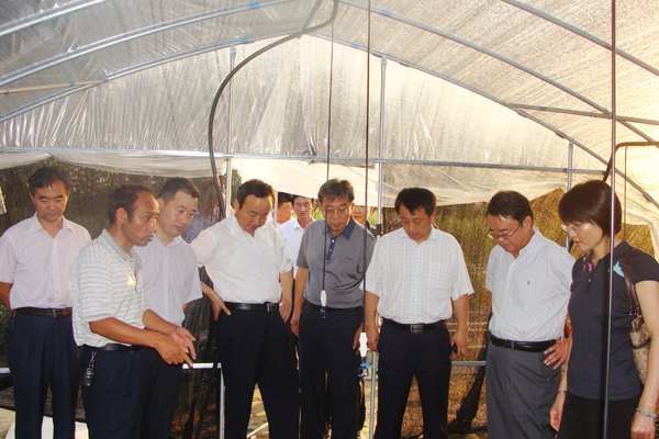 國(guó)家林業(yè)局科技司胡章翠一行蒞臨皖西學(xué)院考察調(diào)研