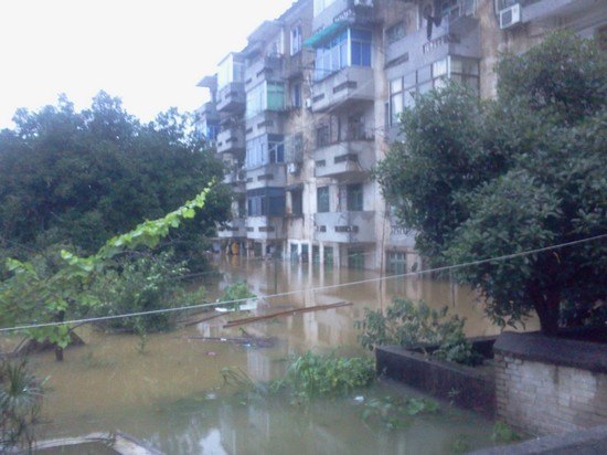 陶研所:暴雨無情人有情 抗險救災(zāi)譜愛心