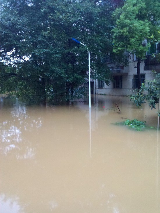 陶研所:暴雨無情人有情 抗險救災(zāi)譜愛心