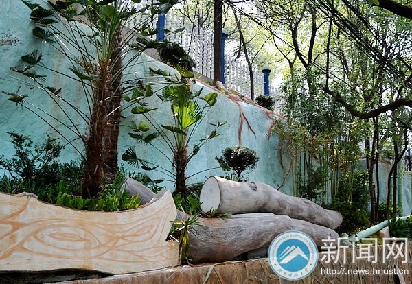 新學期,科大“新新”向榮