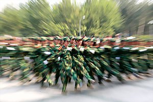 ϴW2012Е߱ôe