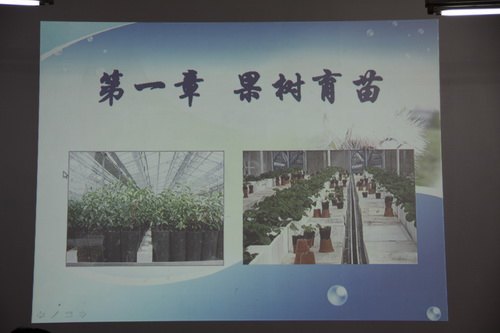 植物科學(xué)學(xué)院舉辦青年教師教學(xué)基本功競賽植物科學(xué)學(xué)院舉辦青年教師教學(xué)基本功競賽