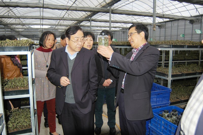 臺州市政府決策咨詢委綜合經濟組全體會議在臺州科技職業學院召開