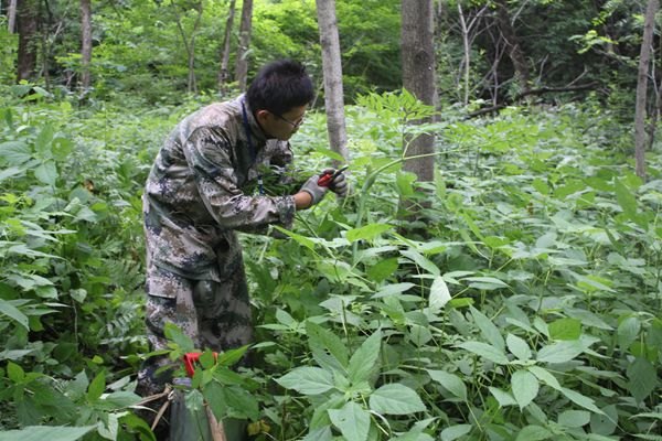 徒步翻山越嶺 再現(xiàn)當年李時珍徒步翻山越嶺 再現(xiàn)當年李時珍