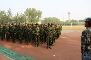 ϴWAM2013W܊Ӗ