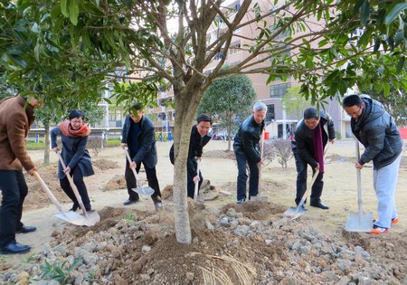 91級(jí)中文1班校友回母校植樹添綠
