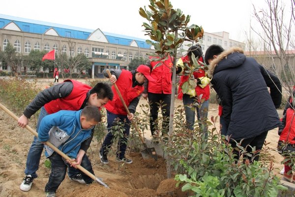 又是一年植樹節(jié)
