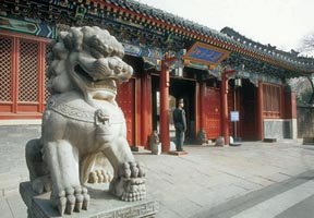 同濟大學(xué)同科學(xué)院圖片