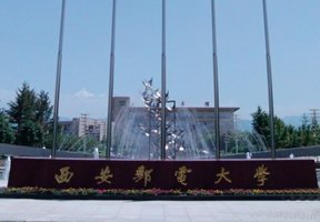 ]늴WDƬ