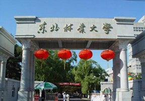 東北林業大學圖片