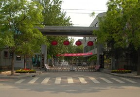 䓹WԺDƬ