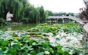 河北美術(shù)學(xué)院圖片